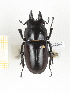  ( - CTBB-2392)  @11 [ ] Copyright © (2018) Th. Bouyer Research Collection of Thierry Bouyer