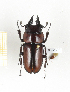  ( - CTBB-2393)  @11 [ ] Copyright © (2018) Th. Bouyer Research Collection of Thierry Bouyer