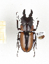  ( - CTBB-2394)  @11 [ ] Copyright © (2018) Th. Bouyer Research Collection of Thierry Bouyer