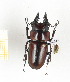  ( - CTBB-2395)  @11 [ ] Copyright © (2018) Th. Bouyer Research Collection of Thierry Bouyer