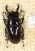  ( - CTBB-2396)  @11 [ ] Copyright © (2018) Th. Bouyer Research Collection of Thierry Bouyer