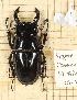  ( - CTBB-2397)  @11 [ ] Copyright © (2018) Th. Bouyer Research Collection of Thierry Bouyer