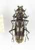  ( - CTBB-2421)  @11 [ ] Copyright © (2018) Th. Bouyer Research Collection of Thierry Bouyer