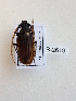  ( - CTBB-2619)  @11 [ ] Copyright © (2019) Thierry Bouyer Research Collection of Thierry Bouyer