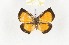  ( - CTBB-2669)  @11 [ ] Copyright © (2019) Thierry Bouyer Research Collection of Thierry Bouyer