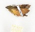  ( - CTBB-2680)  @12 [ ] Copyright © (2019) Thierry Bouyer Research Collection of Thierry Bouyer