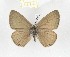  ( - CTBB-2693)  @11 [ ] Copyright © (2019) Thierry Bouyer Research Collection of Thierry Bouyer