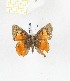  ( - CTBB-2698)  @11 [ ] Copyright © (2019) Thierry Bouyer Research Collection of Thierry Bouyer