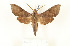  ( - CTBB-2716)  @11 [ ] Copyright © (2020) Thierry Bouyer Research Collection of Thierry Bouyer