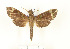  ( - CTBB-2721)  @13 [ ] Copyright © (2020) Thierry Bouyer Research Collection of Thierry Bouyer