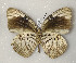  ( - CTBB-2957)  @11 [ ] Copyright © (2018) Thierry Bouyer Research Collection of Thierry Bouyer