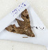  ( - CTBB-3138)  @11 [ ] Copyright © (1981) Th. Bouyer Research Collection of Thierry Bouyer