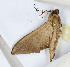  ( - CTBB-3150)  @11 [ ] Copyright © (1993) Th. Bouyer Research Collection of Thierry Bouyer