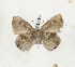  ( - CTBB-3247)  @11 [ ] Copyright © (1995) Th. Bouyer Research Collection of Thierry Bouyer