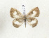  ( - CTBB-3254)  @11 [ ] Copyright © (2002) Th. Bouyer Research Collection of Thierry Bouyer
