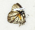  ( - CTBB-3279)  @11 [ ] Copyright © (2018) Th. Bouyer Research Collection of Thierry Bouyer