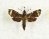  ( - CTBB-3286)  @11 [ ] Copyright © (2021) Th. Bouyer Research Collection of Thierry Bouyer