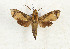  ( - CTBB-3303)  @11 [ ] Copyright © (2021) Th. Bouyer Research Collection of Thierry Bouyer
