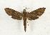  ( - CTBB-3315)  @11 [ ] Copyright © (2021) Th. Bouyer Research Collection of Thierry Bouyer
