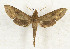  ( - CTBB-3316)  @11 [ ] Copyright © (2021) Th. Bouyer Research Collection of Thierry Bouyer