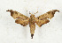  ( - CTBB-3345)  @11 [ ] Copyright © (2021) Th. Bouyer Research Collection of Thierry Bouyer