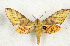  ( - CTBB-3351)  @11 [ ] Copyright © (2021) Th. Bouyer Research Collection of Thierry Bouyer