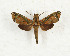  ( - CTBB-3362)  @11 [ ] Copyright © (2021) Th. Bouyer Research Collection of Thierry Bouyer