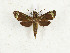  ( - CTBB-3363)  @11 [ ] Copyright © (2021) Th. Bouyer Research Collection of Thierry Bouyer