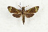  ( - CTBB-3364)  @11 [ ] Copyright © (2021) Th. Bouyer Research Collection of Thierry Bouyer