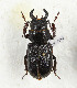  ( - CTBB-3383)  @11 [ ] Copyright © (2021) Th. Bouyer Research Collection of Thierry Bouyer