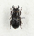  ( - CTBB-3423)  @11 [ ] Copyright © (2021) Th. Bouyer Research Collection of Thierry Bouyer