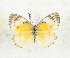  ( - CTBB-3497)  @11 [ ] Copyright © (2021) Th. Bouyer Research Collection of Thierry Bouyer