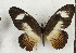  ( - CTBB-3546)  @11 [ ] Copyright © (2021) Th. Bouyer Research Collection of Thierry Bouyer
