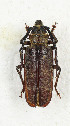  ( - CTBB-3556)  @11 [ ] Copyright © (2021) Th. Bouyer Research Collection of Thierry Bouyer