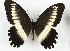  ( - CTBB-3582)  @11 [ ] Copyright © (2023) Th. Bouyer Research Collection of Thierry Bouyer