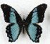  ( - CTBB-3622)  @11 [ ] Copyright © (2023) Th. Bouyer Research Collection of Thierry Bouyer