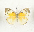  ( - CTBB-3635)  @11 [ ] Copyright © (2023) Th. Bouyer Research Collection of Thierry Bouyer