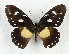  ( - CTBB-3647)  @11 [ ] Copyright © (2023) Th. Bouyer Research Collection of Thierry Bouyer