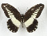  ( - CTBB-3648)  @11 [ ] Copyright © (2023) Th. Bouyer Research Collection of Thierry Bouyer