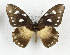  ( - CTBB-3649)  @11 [ ] Copyright © (2023) Th. Bouyer Research Collection of Thierry Bouyer