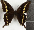  ( - CTBB-3653)  @11 [ ] Copyright © (2023) Th. Bouyer Research Collection of Thierry Bouyer