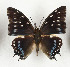  ( - CTBB-3655)  @11 [ ] Copyright © (2023) Th. Bouyer Research Collection of Thierry Bouyer