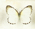  ( - CTBB-3710)  @11 [ ] Copyright © (2023) Th. Bouyer Research Collection of Thierry Bouyer