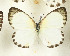  ( - CTBB-3716)  @11 [ ] Copyright © (2023) Th. Bouyer Research Collection of Thierry Bouyer