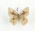  ( - CTBB-3732)  @11 [ ] Copyright © (2023) Th. Bouyer Research Collection of Thierry Bouyer