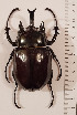  ( - CTBB-3841)  @11 [ ] Copyright © (2022) Ph. Léonard research collection of M. Prandi