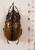  ( - CTBB-3843)  @11 [ ] Copyright © (2022) Ph. Léonard research collection of M. Prandi