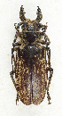  ( - CTBB-3857)  @11 [ ] Copyright © (2023) Thierry Bouyer Research Collection of Thierry Bouyer