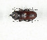  ( - CTBB-3907)  @11 [ ] Copyright © (2023) Thierry Bouyer Research Collection of Thierry Bouyer