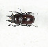  ( - CTBB-3908)  @11 [ ] Copyright © (2023) Thierry Bouyer Research Collection of Thierry Bouyer